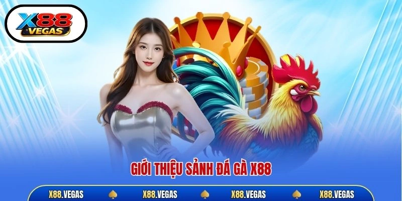 Giới thiệu sảnh đá gà X88