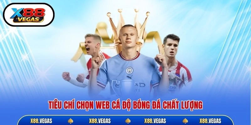 Tiêu chí chọn web cá độ bóng đá chất lượng
